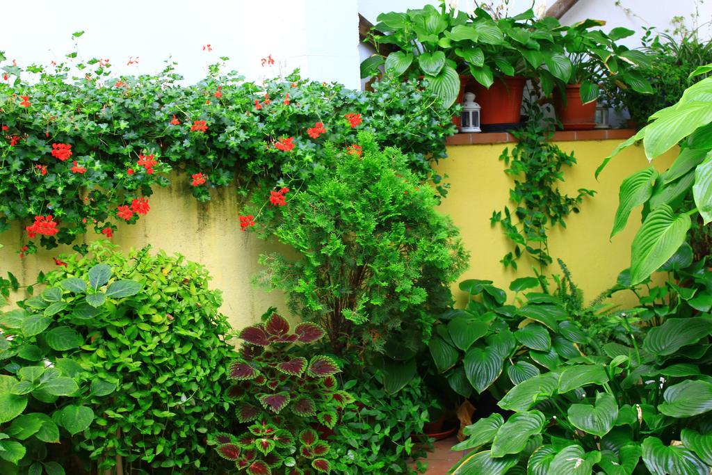 Hostal Escartin Sabiñánigo Εξωτερικό φωτογραφία