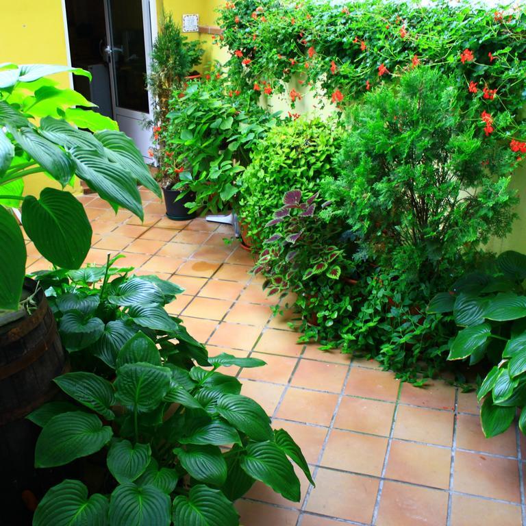 Hostal Escartin Sabiñánigo Εξωτερικό φωτογραφία