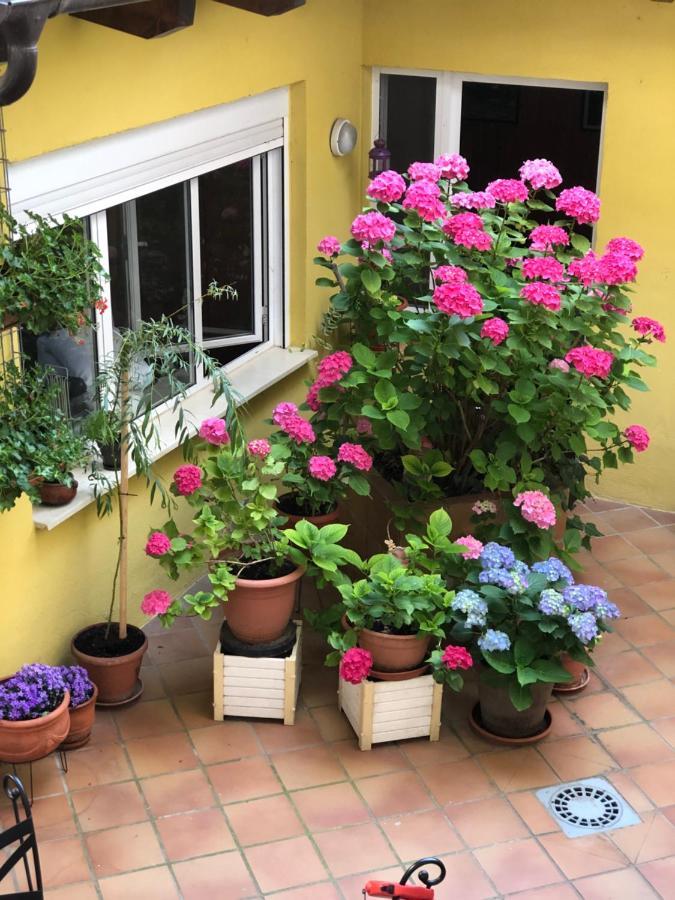 Hostal Escartin Sabiñánigo Εξωτερικό φωτογραφία